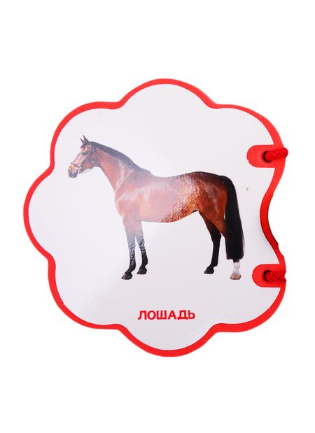 Фотография книги "Домашние животные"