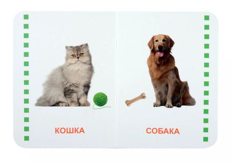 Фотография книги "Домашние животные"