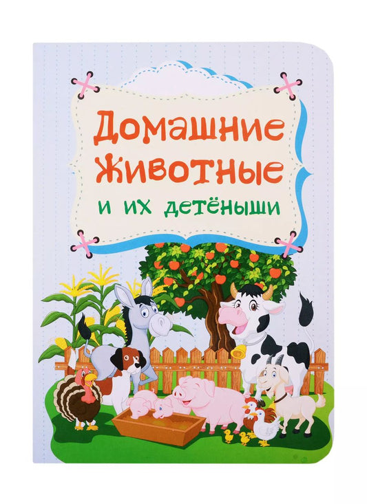 Обложка книги "Домашние животные и их детеныши"