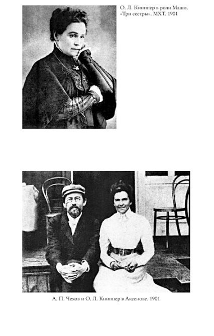Фотография книги "Дональд Рейфилд: Жизнь Антона Чехова"