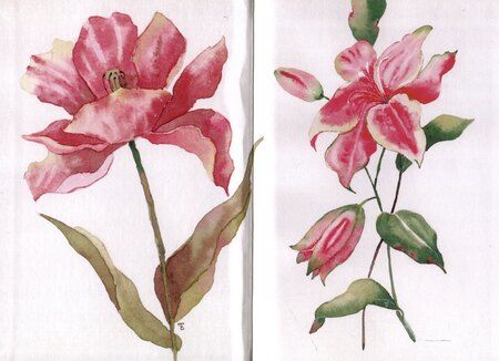 Фотография книги "Дора Шабанн: Хорошая девочка. Версия 2.0"