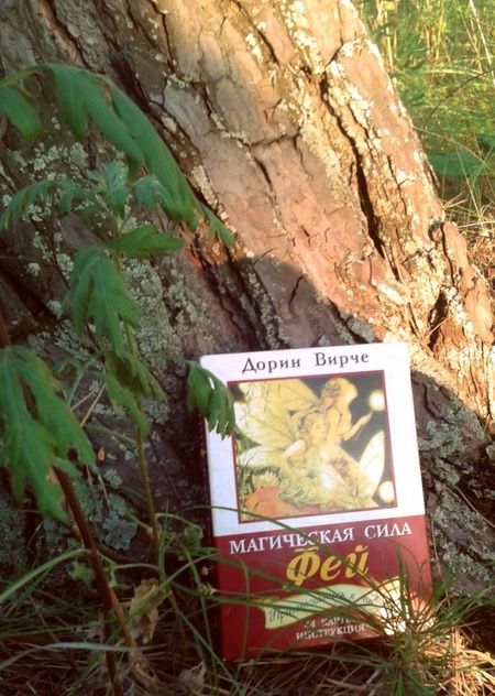 Фотография книги "Дорин Вирче: Магическая сила фей (44 карты+брошюра)"