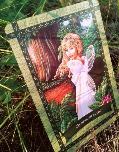 Фотография книги "Дорин Вирче: Магическая сила фей (44 карты+брошюра)"