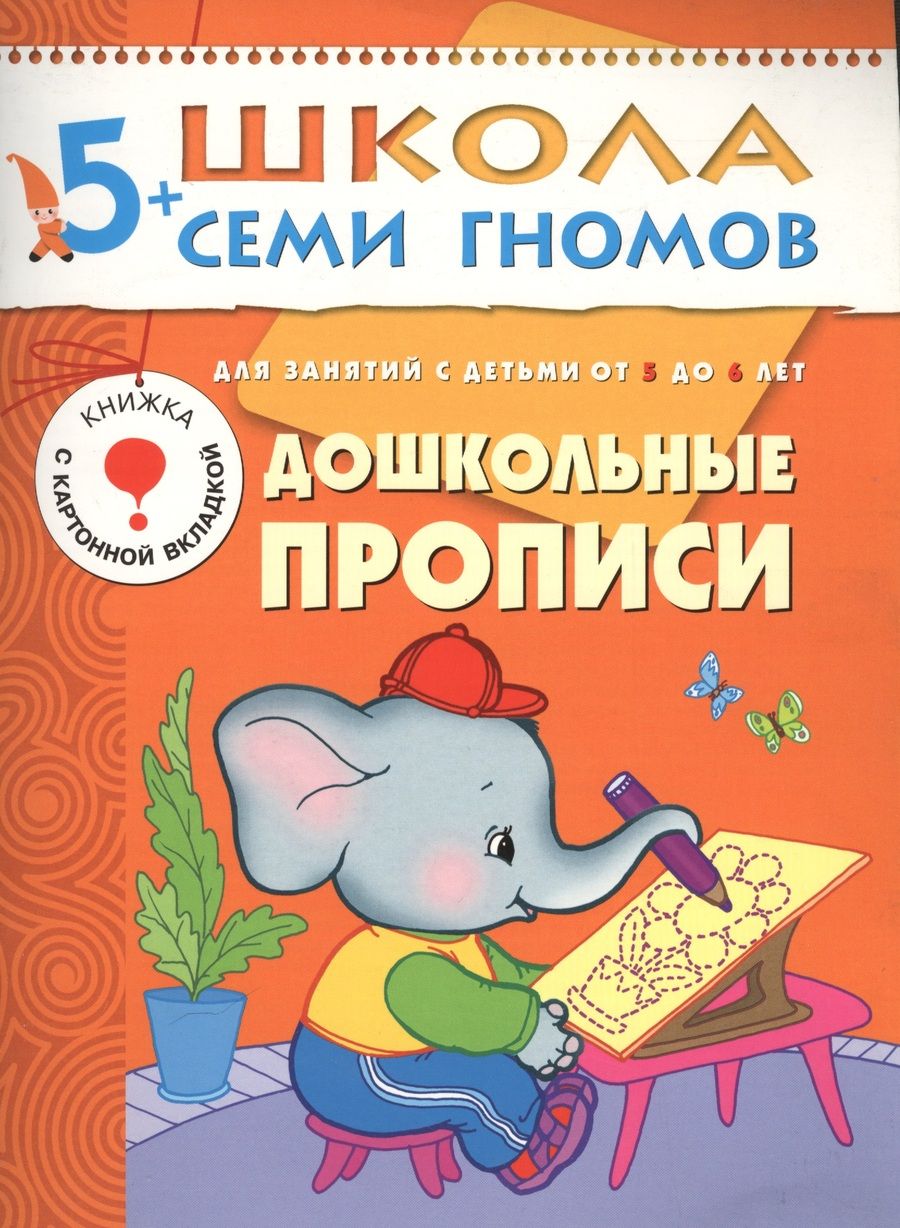 Обложка книги "Дорофеева АльфияДошкольные прописи. Для занятий с детьми от 5 до 6 лет"
