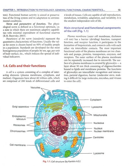 Фотография книги "Dorokhov, Karpova, Semiletova: Normal Physiology"