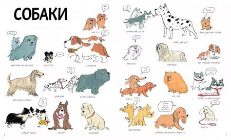 Фотография книги "Доротея Монфре: Собакобум. Самая правдивая энциклопедия собачьей жизни"