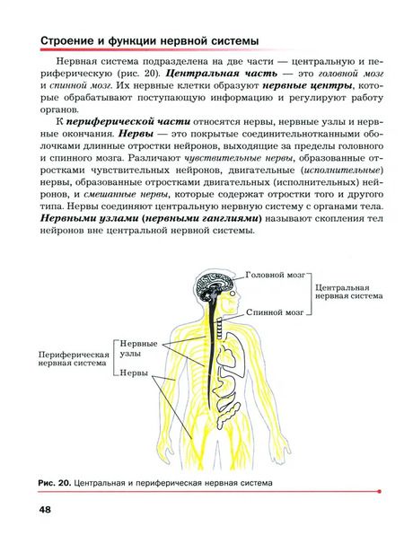 Фотография книги "Драгомилов, Маш: Биология. 9 класс. Учебное пособие. Базовый уровень. ФГОС"