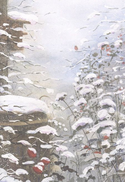 Фотография книги "Дрешер: Гном из водосточной трубы"