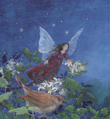 Фотография книги "Дрешер: Маленькая фея не может уснуть"