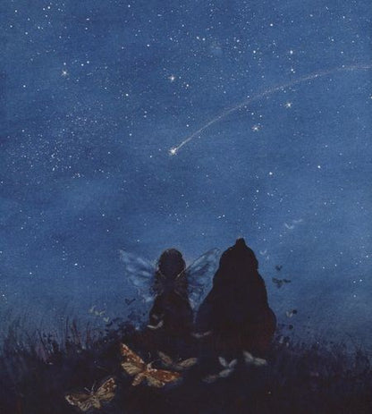 Фотография книги "Дрешер: Маленькая фея загадывает желание"