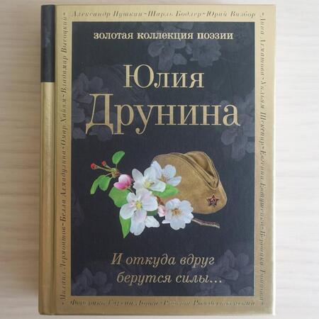 Фотография книги "Друнина: И откуда вдруг берутся силы..."