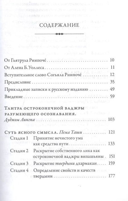 Фотография книги "Дуджом Лингпа: Сердце великого совершенства. Том 1. Провидческие откровения великого совершенства Дуджома Лингпы"