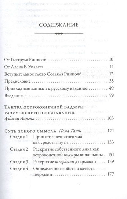 Фотография книги "Дуджом Лингпа: Сердце великого совершенства. Том 1. Провидческие откровения великого совершенства Дуджома Лингпы"