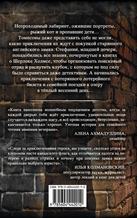 Фотография книги "Духин, Духина: Тайна английского замка. Часть 2"