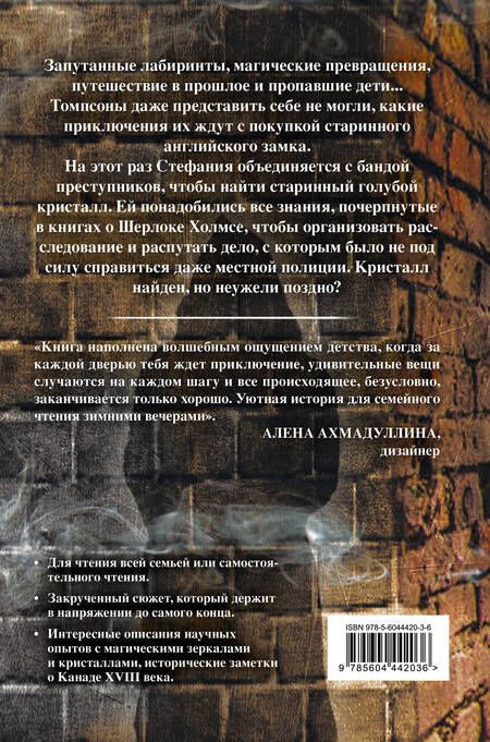 Фотография книги "Духина, Духин: Тайна английского замка. Часть 3"