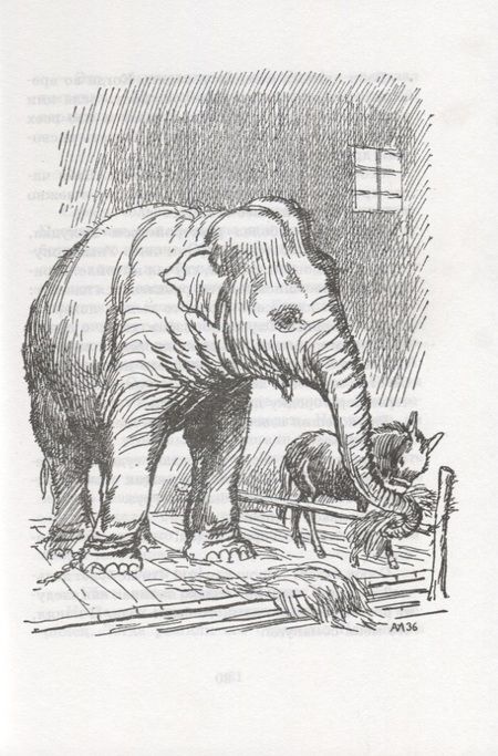 Фотография книги "Дуров: Мои звери"