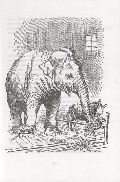 Фотография книги "Дуров: Мои звери"