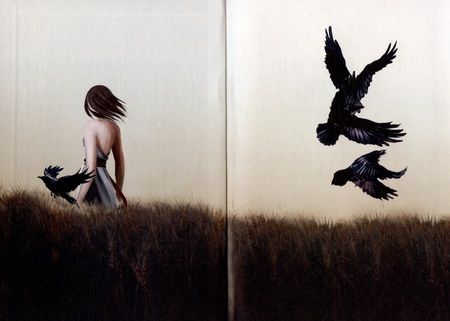 Фотография книги "Дутт: Дигридское золото"