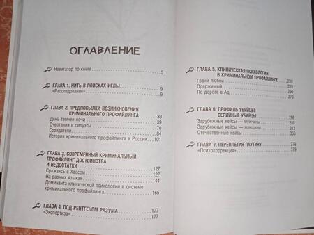 Фотография книги "Дворянчиков, Шипицын, Нечесова: Профиль убийцы. Психологические аспекты криминального профайлинга"