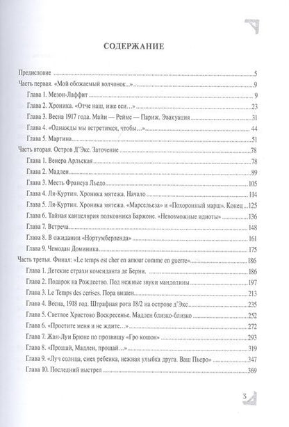 Фотография книги "Дюбург: Эспер. Франция 1917 г. Тайна старинной открытки"