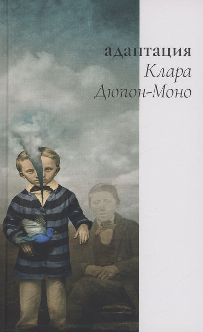 Обложка книги "Дюпон-Моно: Адаптация"