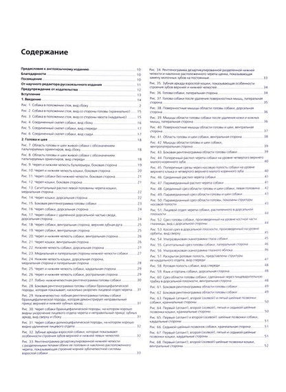 Фотография книги "Дж. Бойд: Топографическая анатомия собаки и кошки. С основами клинической анатомии"