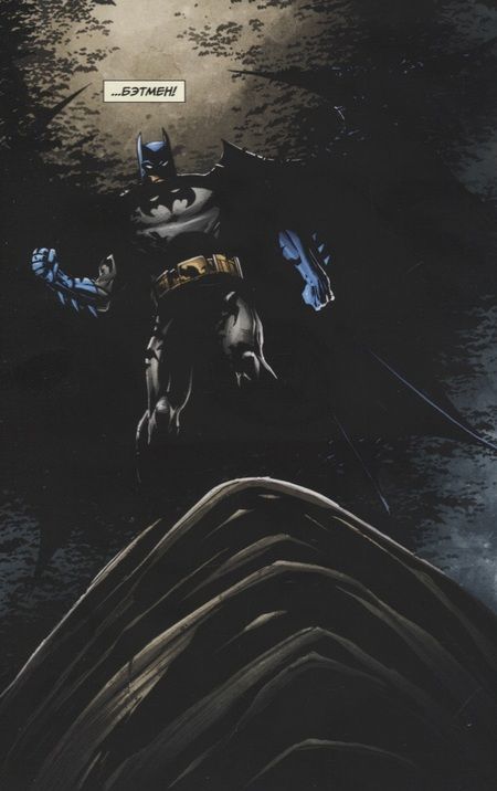Фотография книги "Дж. Розам: Бэтмен. Detective Comics. Леденящий ужас"