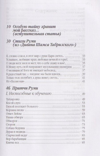 Фотография книги "Джалаладдин Руми: Дорога превращений. Суфийские притчи"