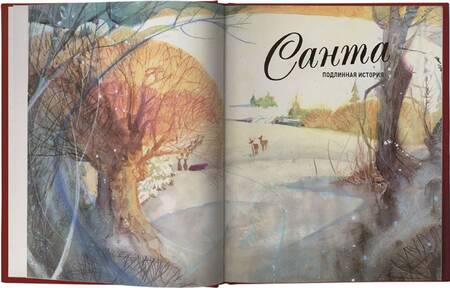 Фотография книги "Джаред Грин: Санта. Подлинная история"