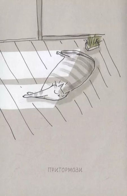 Фотография книги "Джейми Шелман: Правила жизни моего кота"