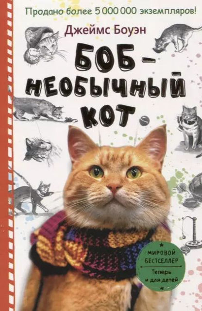 Обложка книги "Джеймс Боуэн: Боб - необычный кот"