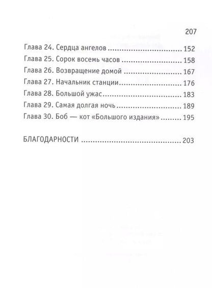 Фотография книги "Джеймс Боуэн: Боб - необычный кот"