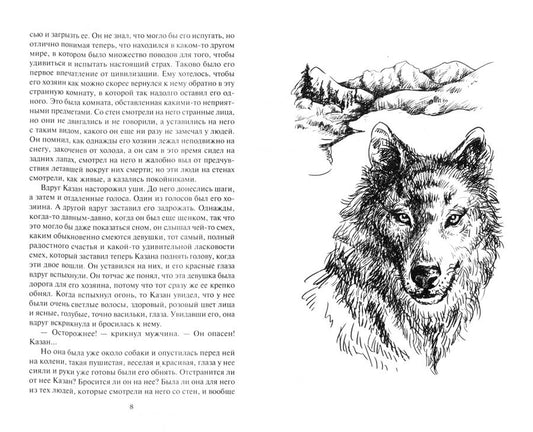 Обложка книги "Джеймс Кервуд: Казан"