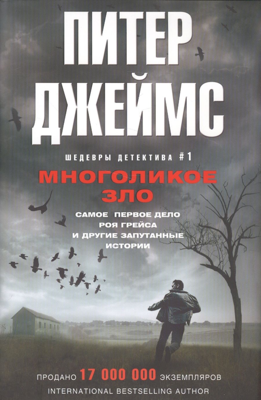 Обложка книги "Джеймс: Многоликое зло"