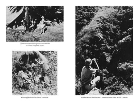 Фотография книги "Джейн Гудолл: В тени человека"
