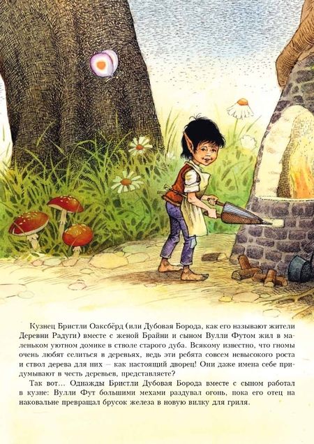 Фотография книги "Джейн Пейшнс: Идея Вулли Фута"