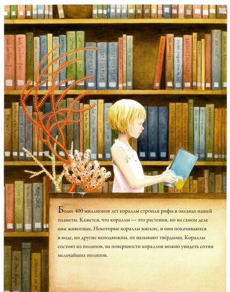 Фотография книги "Джейсон Чин: Коралловые рифы"