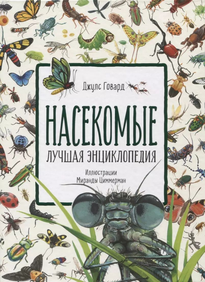 Обложка книги "Джейсон Говард: Насекомые. Лучшая энциклопедия"