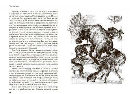 Фотография книги "Джек Лондон: Белый Клык"