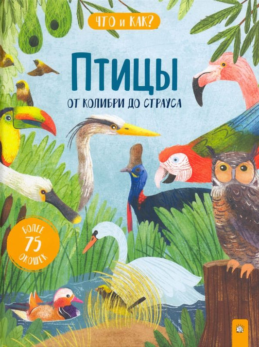 Обложка книги "Джеки Маккэнн: Птицы. От колибри до страуса"