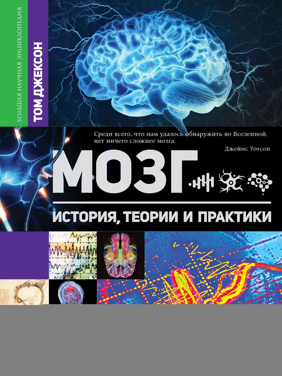Обложка книги "Джексон: Мозг. История, теории и практики"