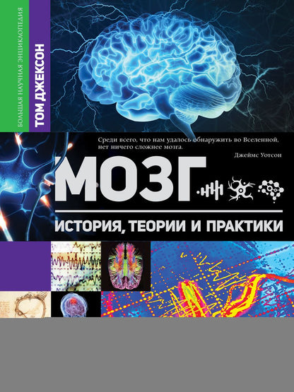 Обложка книги "Джексон: Мозг. История, теории и практики"