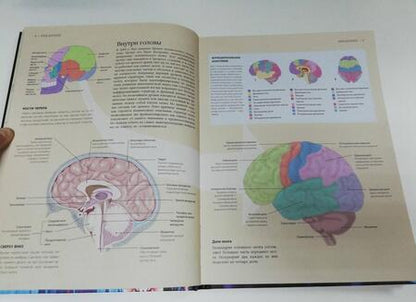 Фотография книги "Джексон: Мозг. История, теории и практики"