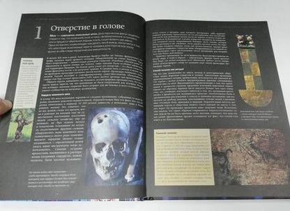 Фотография книги "Джексон: Мозг. История, теории и практики"