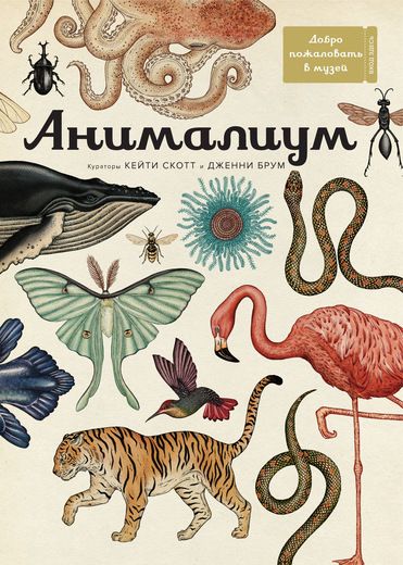 Обложка книги "Дженни Брум: Анималиум"