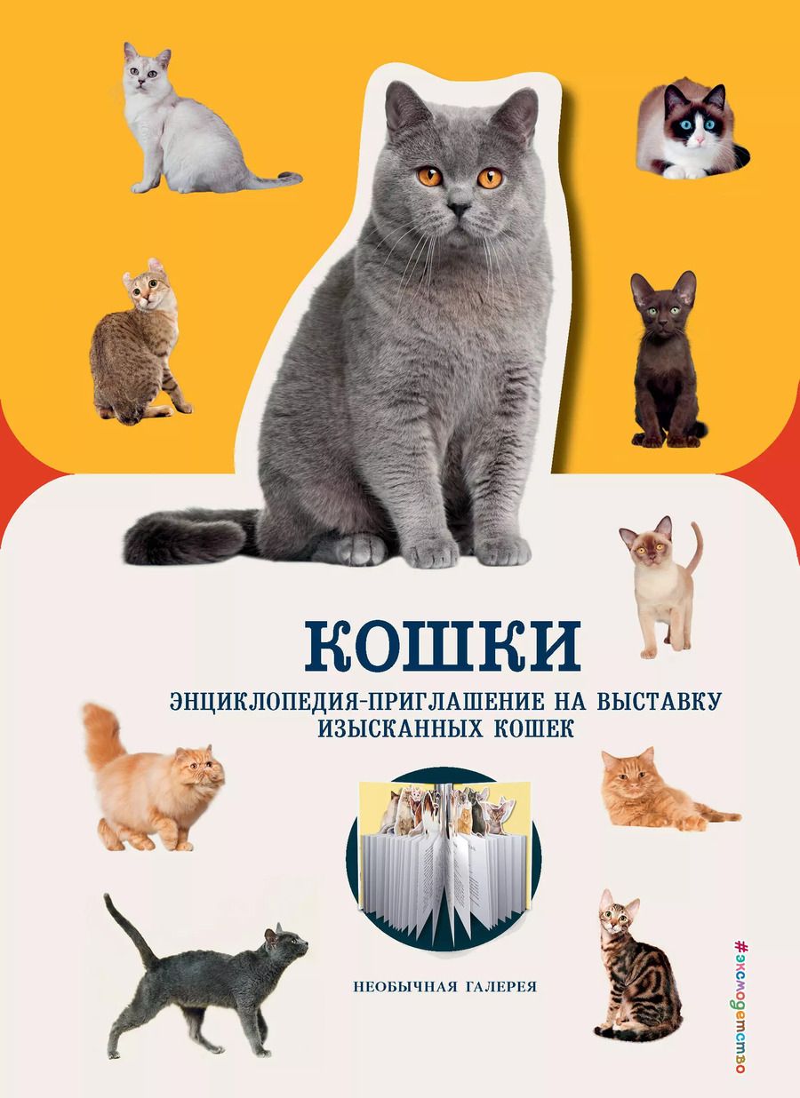 Обложка книги "Дженнифер Пуллинг: Кошки"
