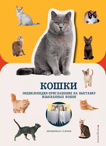 Обложка книги "Дженнифер Пуллинг: Кошки"
