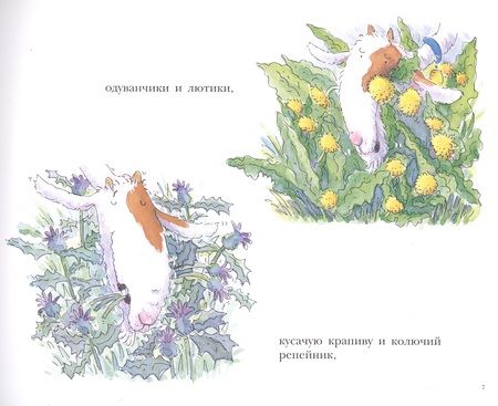 Фотография книги "Дженнингс: Больной зуб козлика Хрумки"