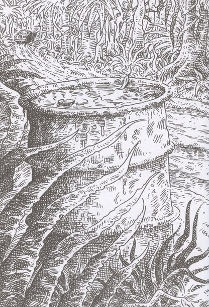 Фотография книги "Дженнингс: Другая земля. Книга 2"