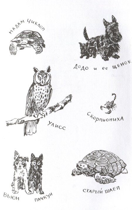 Фотография книги "Джеральд Даррелл: Моя семья и другие звери. Повесть"